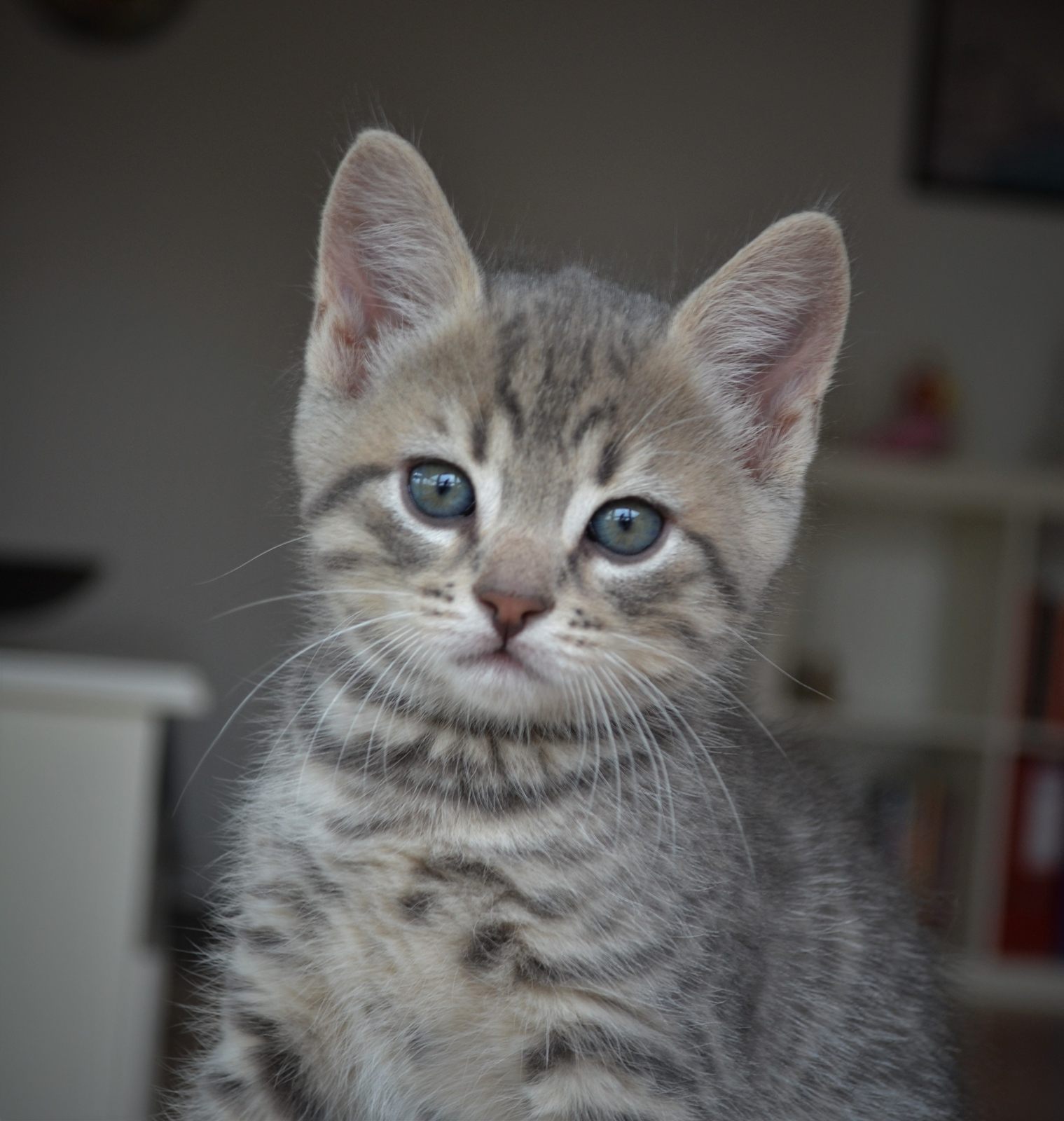 Benny